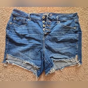 Torrid Blue Distressed Jean Shorts